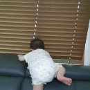 흥덕 경희대 LS 태권도장 이미지