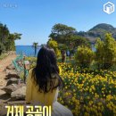 2025년 섬 수선화축제 이미지