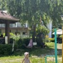 레젤프펜션 이미지