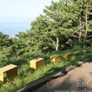 제주 사라봉 일제동굴진지 이미지