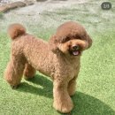 옥림정미소 이미지