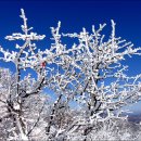 ☞돌 산악회 130회 정기산행 광주 무등산 1,187m 이미지