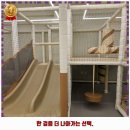 리카키즈 강릉점 이미지