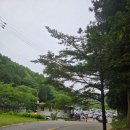 보성여행 필수코스 대한다원 보성녹차밭 사진명소 다녀온 후기