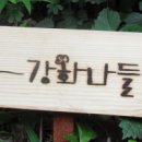 갯벌보러가는길 이미지