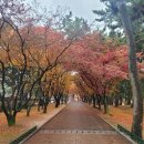 오늘의경주