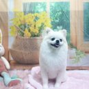 호이펫샵 이미지