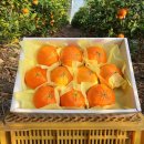 대운2농장 이미지