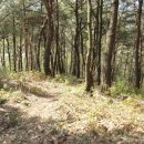 호곡마을길 이미지