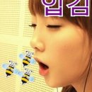 머리짱 이미지