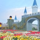 7시에 만나 | [태안]태안 튤립축제 후기 🌷 토요일 오후 7시 방문 (야경, 혼잡도, 꿀팁 총정리)