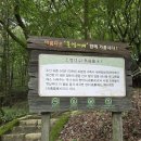 조령2 | 백두대간 포암산~ ~하늘재~하늘재 주차장~탄항산~부봉삼거리~마패봉~조령3관문~고사리주차장 25km
