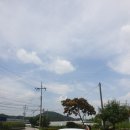 동해막국수퇴계점 이미지