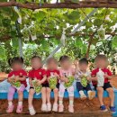 은동아이어린이집 이미지