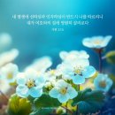 헤세드(hesed) 이미지