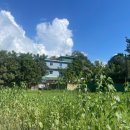 OPD MEDICAL 이미지