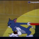 꼬마강아지 이미지