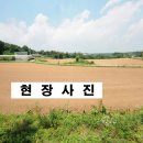 석우리 이미지
