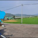 조은땅공인중개사사무소 이미지