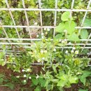 작은여울 도서관 이미지