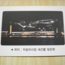 충남곰장어 이미지