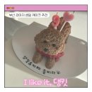 댕킷 | 부산 강아지 케이크 추천 명지 댕킷