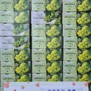 하늘그리기 이미지