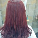 미장원by봄 이미지