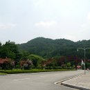 현충원 산책길 이미지