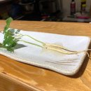 서가&참치연어 이미지