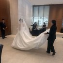 아름행복 | 메이필드 호텔 결혼식 후기｜하얀 수국 한 아름 안고 돌아온 행복한 하루