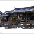 삼유교 Daum카페
