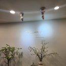 폴라리스웨딩 제이웨딩 후기｜강남 청담 스튜디오 촬영용 웨딩드레스 가봉 리얼 리뷰