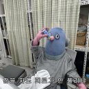 오동동닭탕