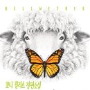 양 목에 방울 달기 : 코니 윌리스 장편소설 이미지
