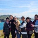 주식회사버스투어여행사 | 제주도 16인승 쏠라티 기사포함 투어 후기 ☃️ 여행사 추천 정보