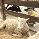 에스비 아쿠아 이미지