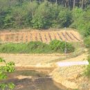 비남가든 이미지