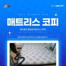 에이원토탈방역