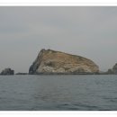 안제립여 Daum카페