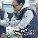 동갈매기 이미지