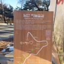 2월14일(토) 남산 하늘숲길 트레킹(꽃비대장) (회현역4번출구로 변경합니다) 이미지