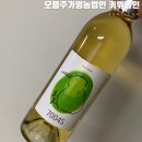 [제품리뷰] 홈파티에 좋은 스위트와인 추천 오름주가영농법인 키위와인 7004(칠천포) 시음후기
