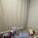 원진성형외과의원 | [강남원진성형외과] 내돈내산 눈밑지방재배치 솔직후기