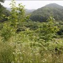 원산농장 이미지