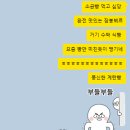 어트 | 운동] 찾았다 나의 식단빵, 에그어트 다이어트 저당 계란빵 솔직 후기 (오리지널, 햄치즈)