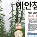 지성농약사