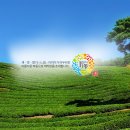 [하동 2박 3일 여행코스] 녹차밭·최참판댁·쌍계사까지 자연과 문학이 살아있는 감성 여행