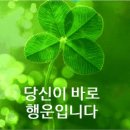 8월 11일 아침인사 이미지