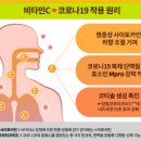 대학비타민약국 이미지